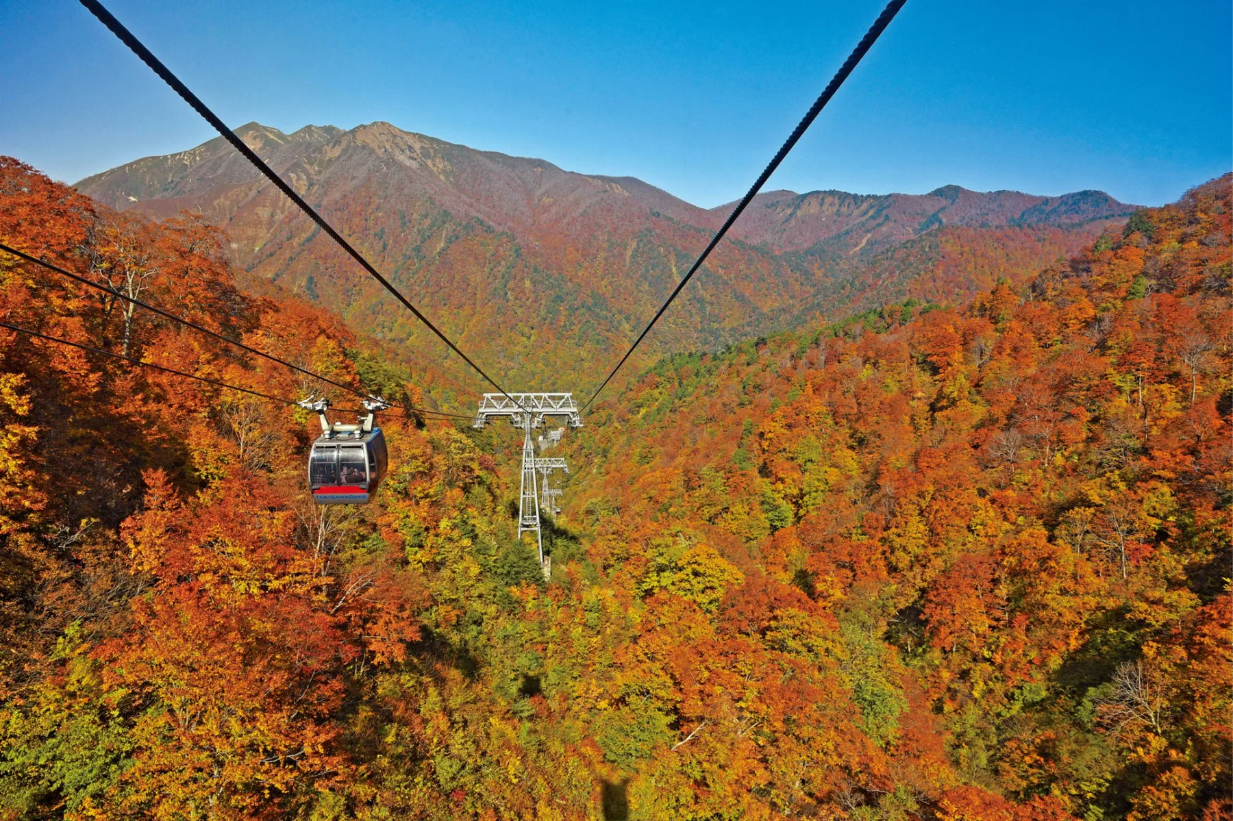 谷川岳天神平の紅葉情報_1