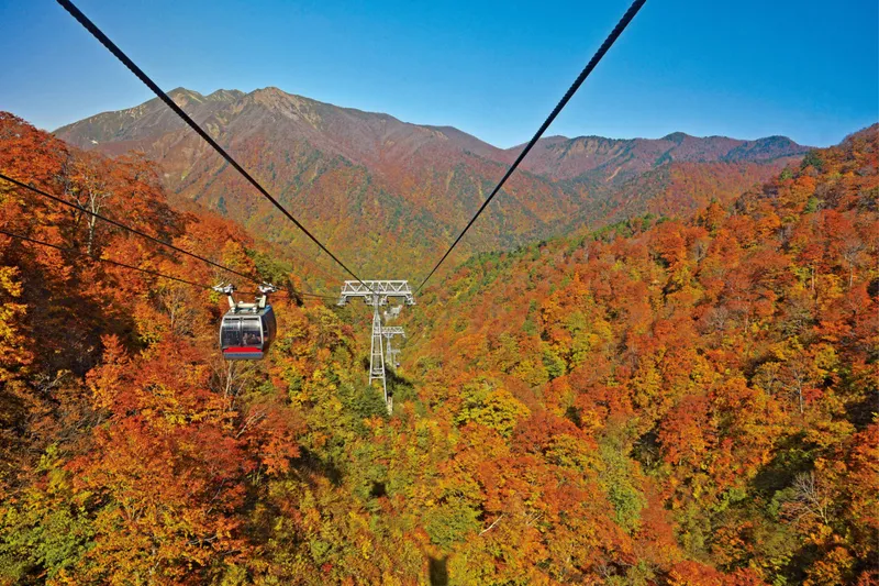 谷川岳天神平の紅葉情報_1