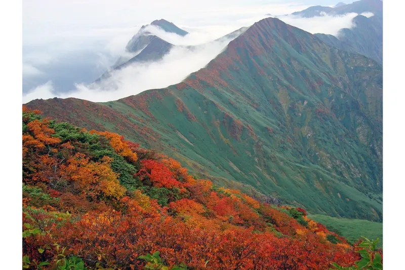 谷川岳天神平の紅葉情報_2