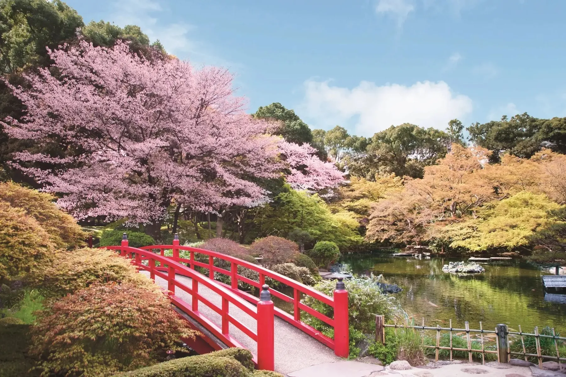 桜めぐり2025～Experience Spring at Hotel New Otani Tokyo～_2