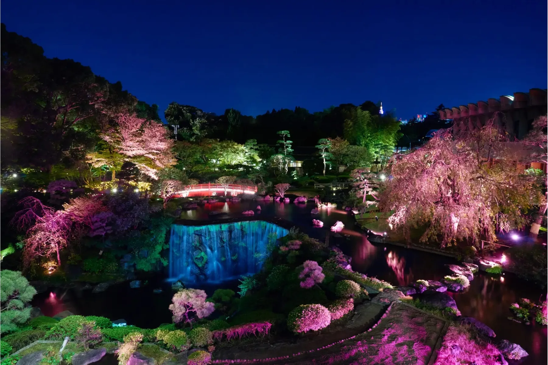 桜めぐり2025～Experience Spring at Hotel New Otani Tokyo～_3