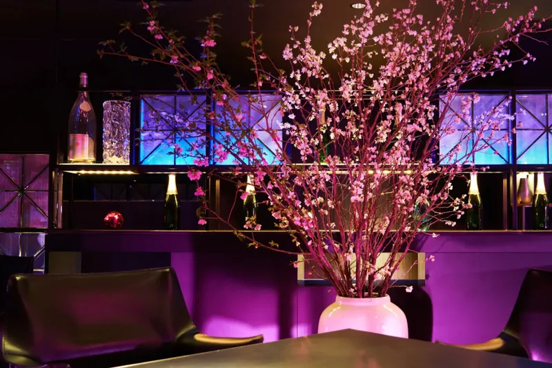 SKY BAR『tokyo SAKURA bar』