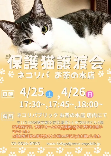 [お譲り先決定]お問い合わせはご遠慮願います 私ならびに、弊社の名を騙るメールが送られているようです。 私や弊社