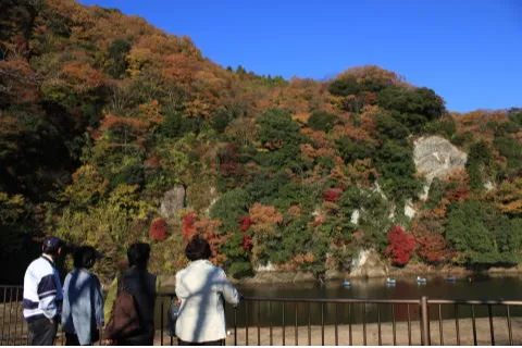 三島湖の紅葉情報_1