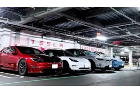 テスラ試乗体験（テスラ専門店 Garage X）