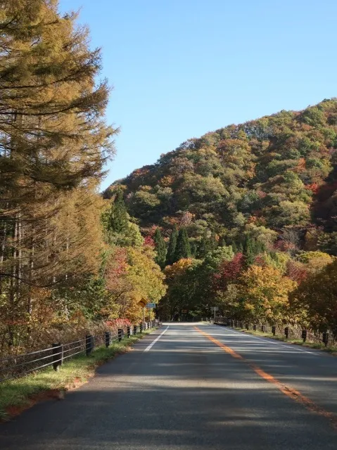 紅葉・見ごろ】飛騨・美濃せせらぎ街道