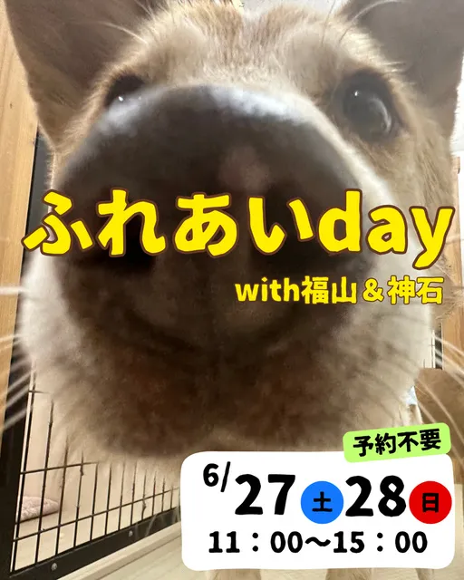 ふれあいday with神石＆福山（6月）