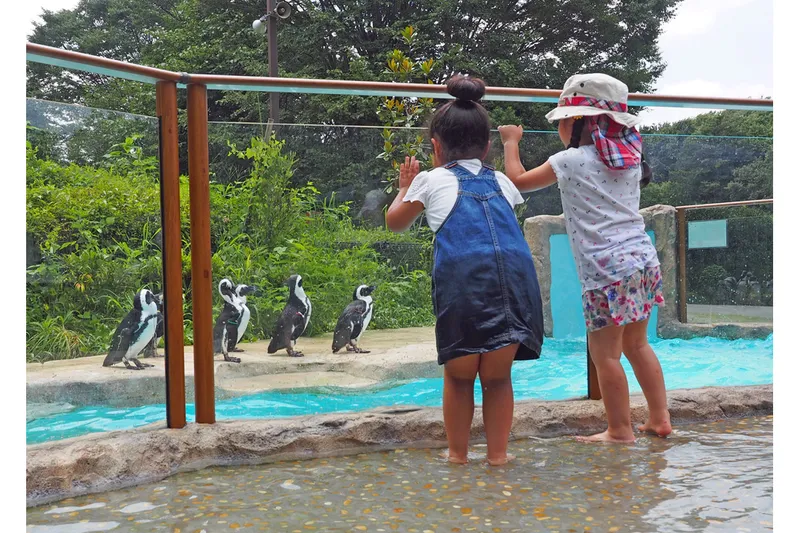 【智光山公園こども動物園】夏のイベント