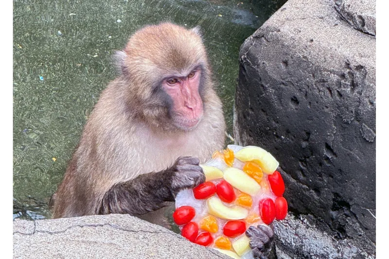 【智光山公園こども動物園】夏のイベント_4