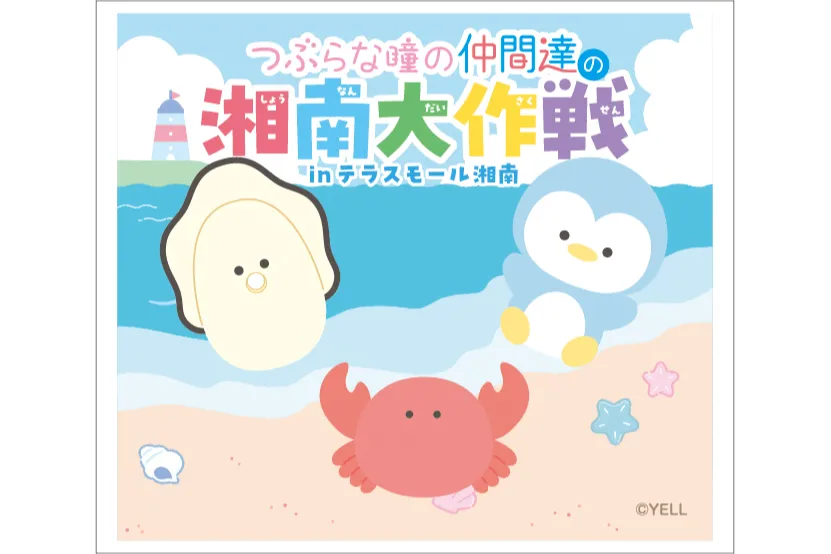 つぶらな瞳の仲間達の湘南大作戦 inテラスモール湘南_2