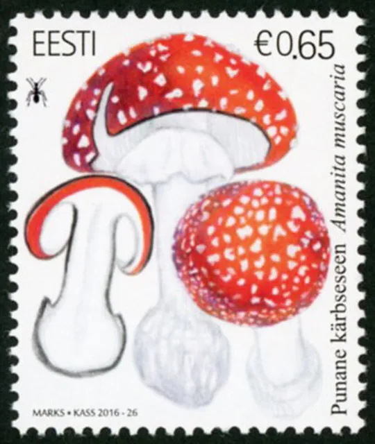 魅惑のキノコ」展