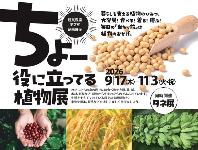 企画展示「ちょー役に立ってる植物展」