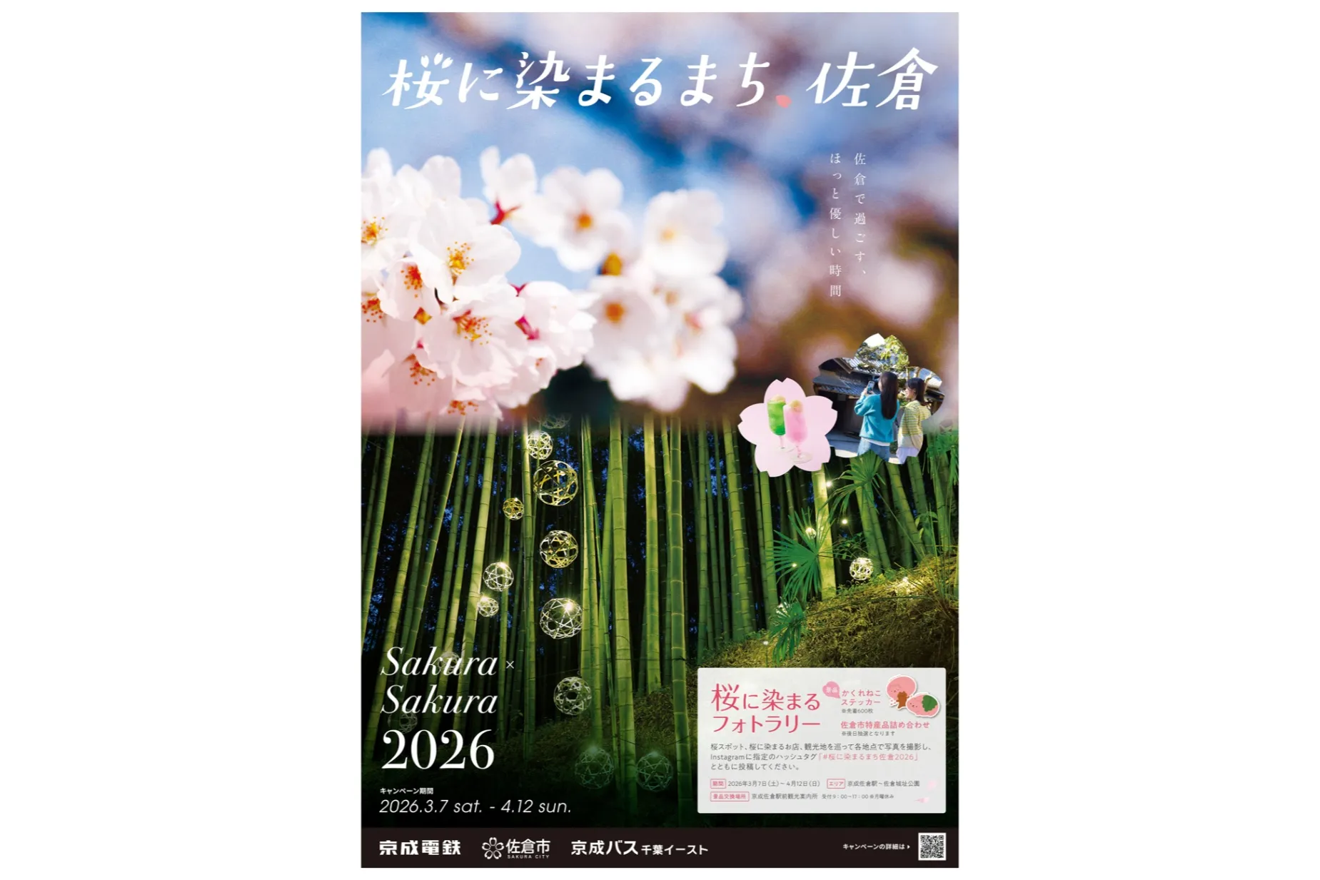 桜に染まるまち、佐倉2026
