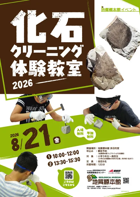 地質標本館 イベント「化石クリーニング体験教室―2026―」