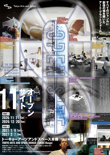OPEN SITE 11