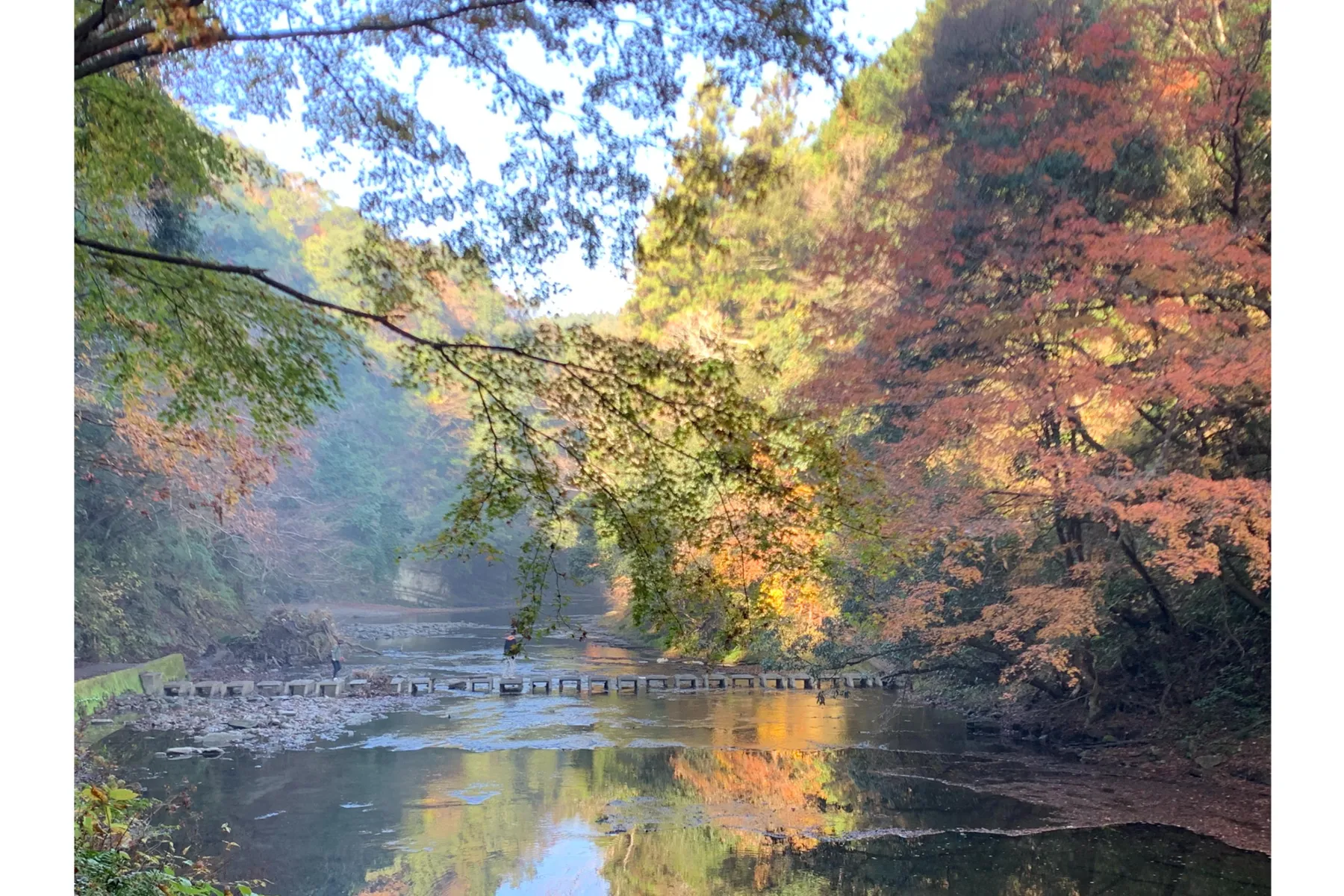 養老渓谷の紅葉情報_1