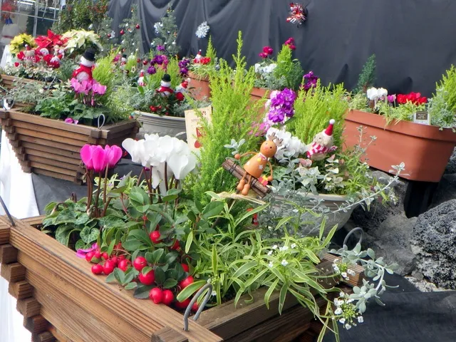 Simple Glaze : 富田まり 水彩画展