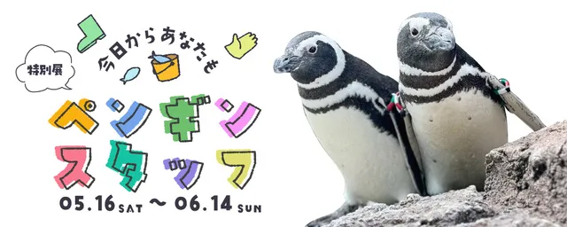 特別展「今日からあなたもペンギンスタッフ」