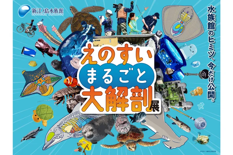 えのすいまるごと大解剖展_2