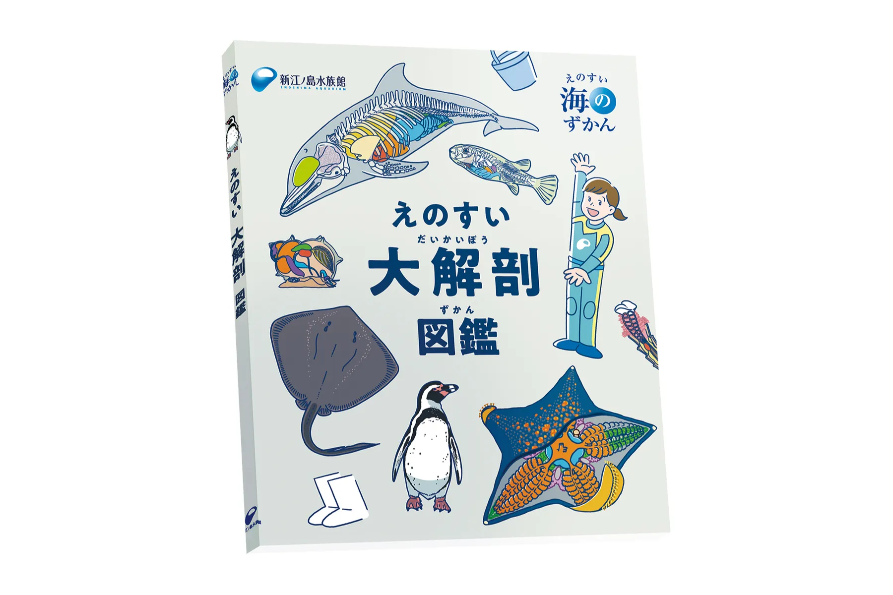 えのすいまるごと大解剖展_12