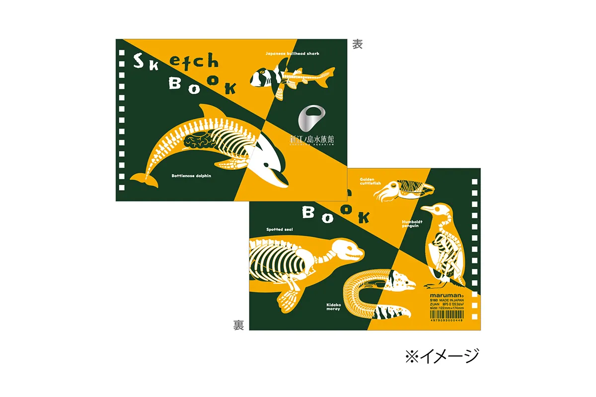 えのすいまるごと大解剖展_15