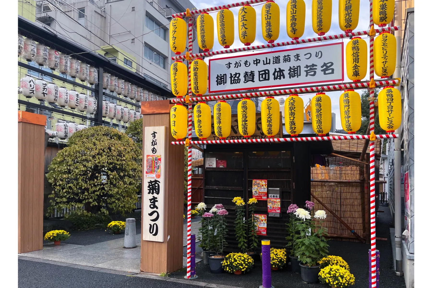 第33回 すがも中山道 菊まつり_1