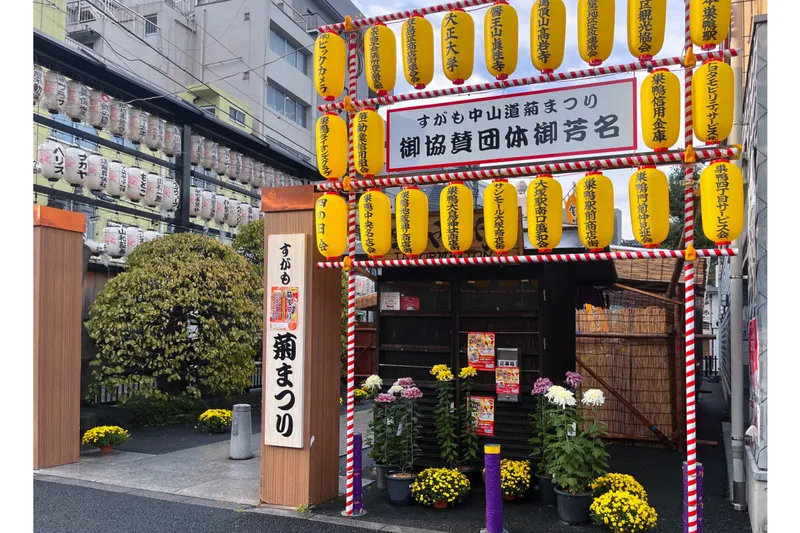 鮮やかな提灯がお出迎え