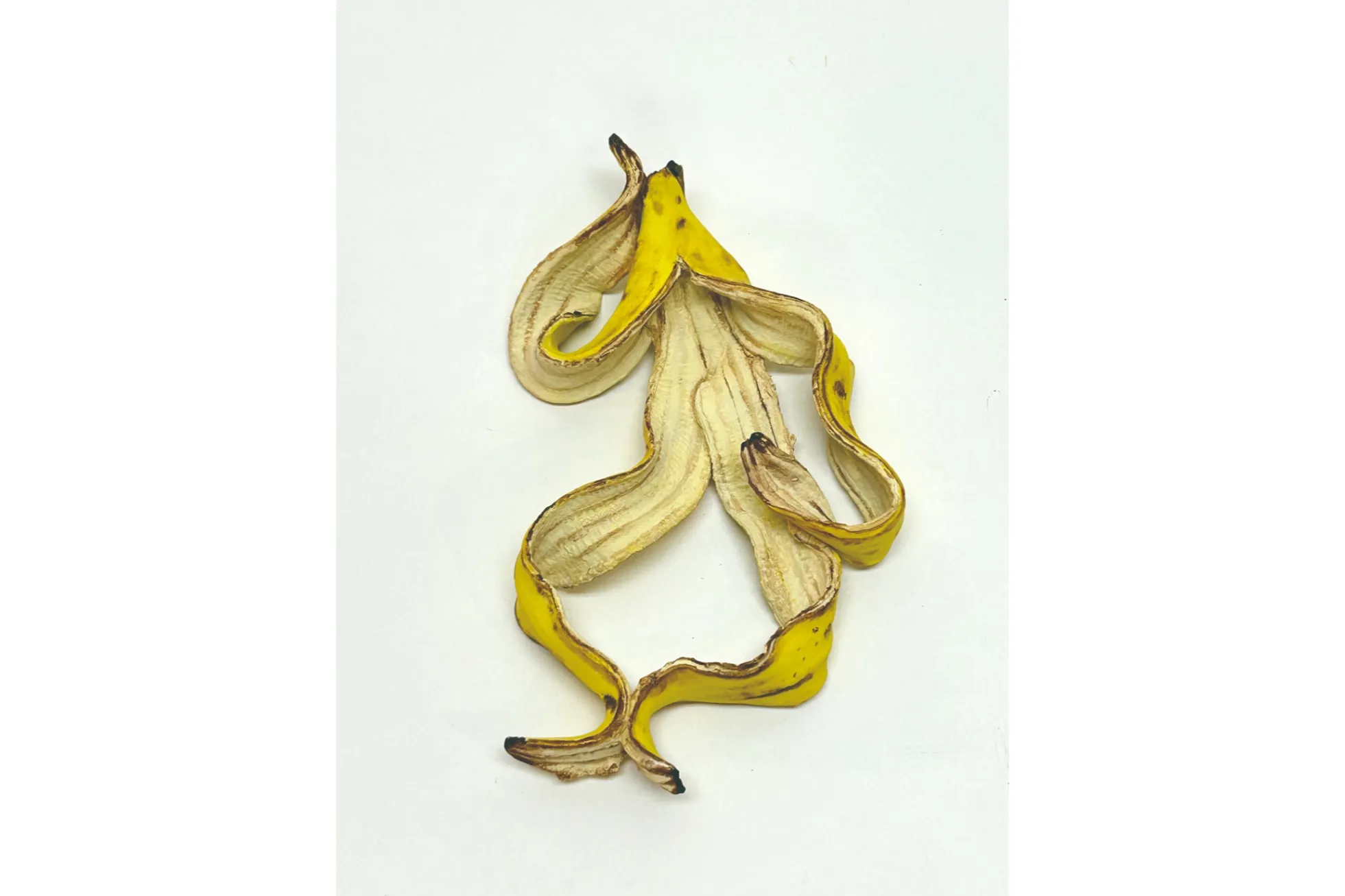 VINYL GALLERY vol.119 笠谷耕二 Solo Exhibition 「バナナん バナナん