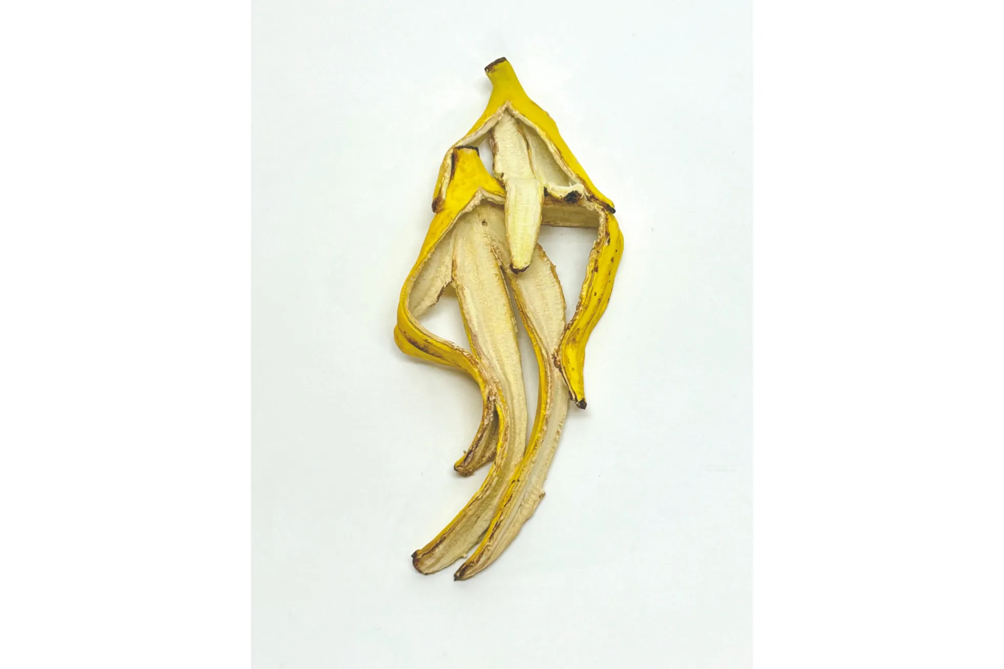 VINYL GALLERY vol.119 笠谷耕二 Solo Exhibition 「バナナん バナナん