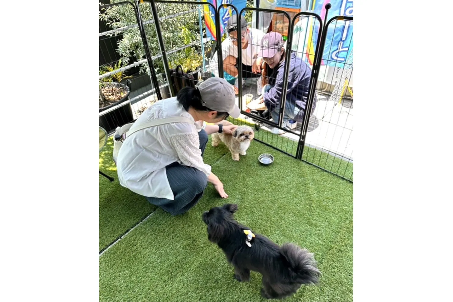 （ARTISAN）FARMERS MARKET KAWAGUCHI 2025 SUMMER_4