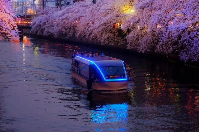 大岡川の桜を愛でる桜鑑賞クルーズ　ル・グラン・ブルー