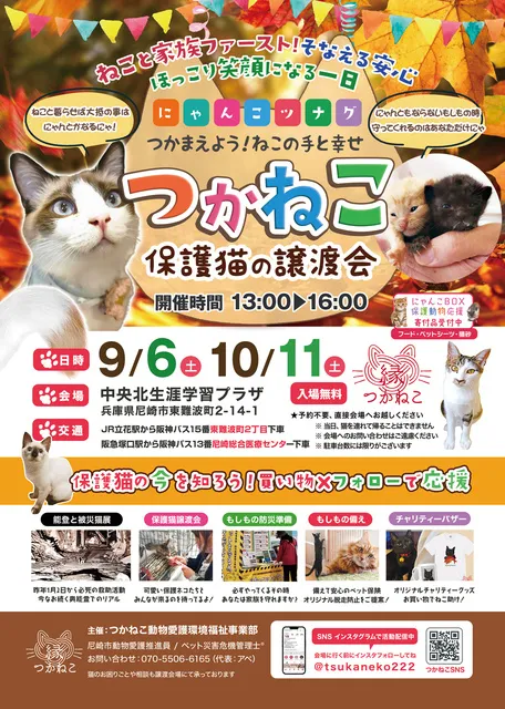 つかねこ譲渡会＆パネル展・チャリティーグッズ販売（9月）