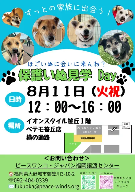 保護いぬ見学Day＠ペテモ笹丘店