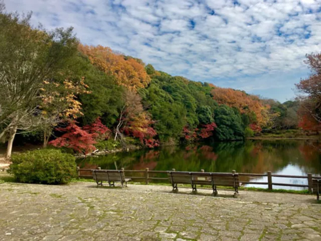 【紅葉・見ごろ】明石公園
