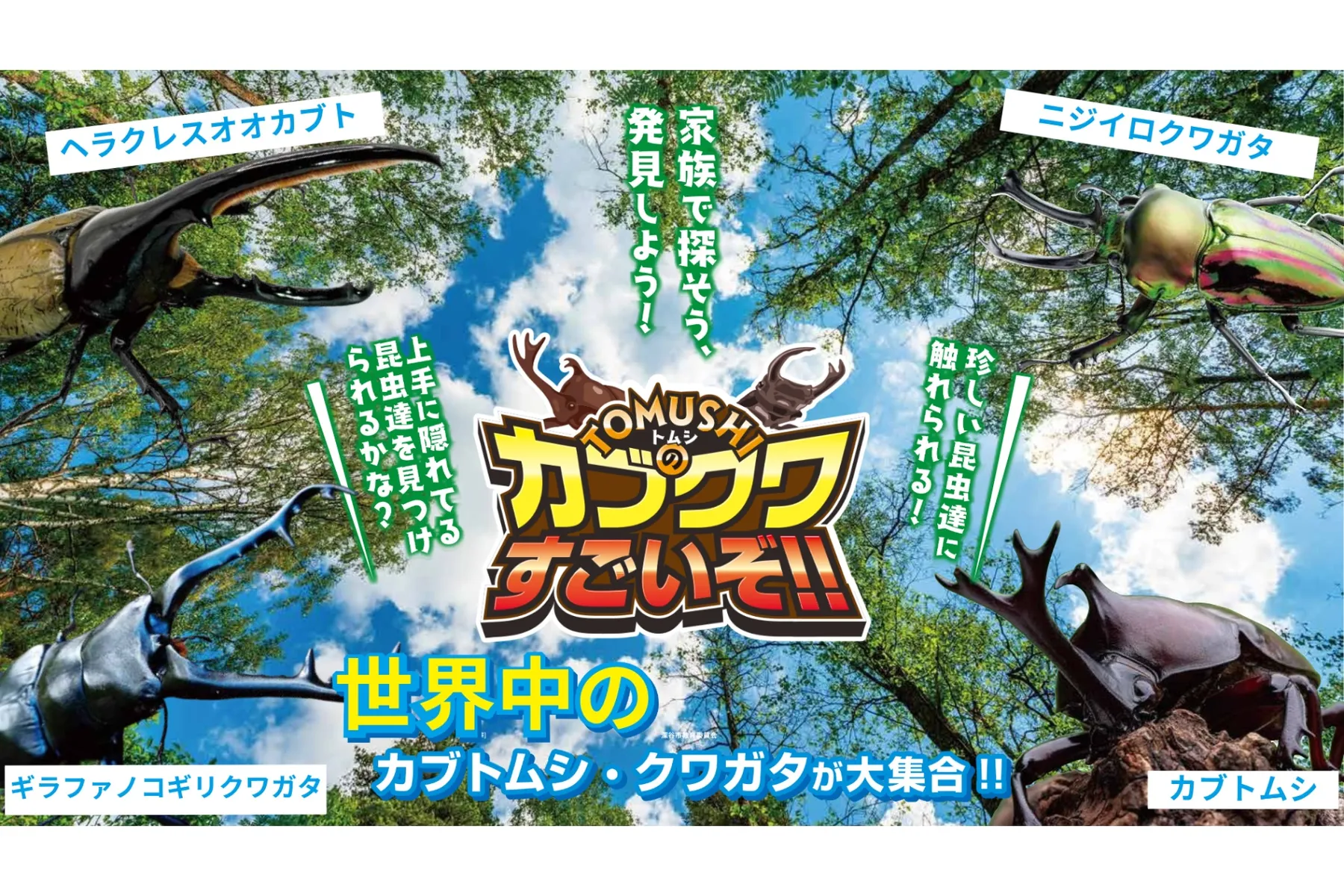 TOMUSHIのカブクワすごいぞ!! in ふかや花園アウトレット_1