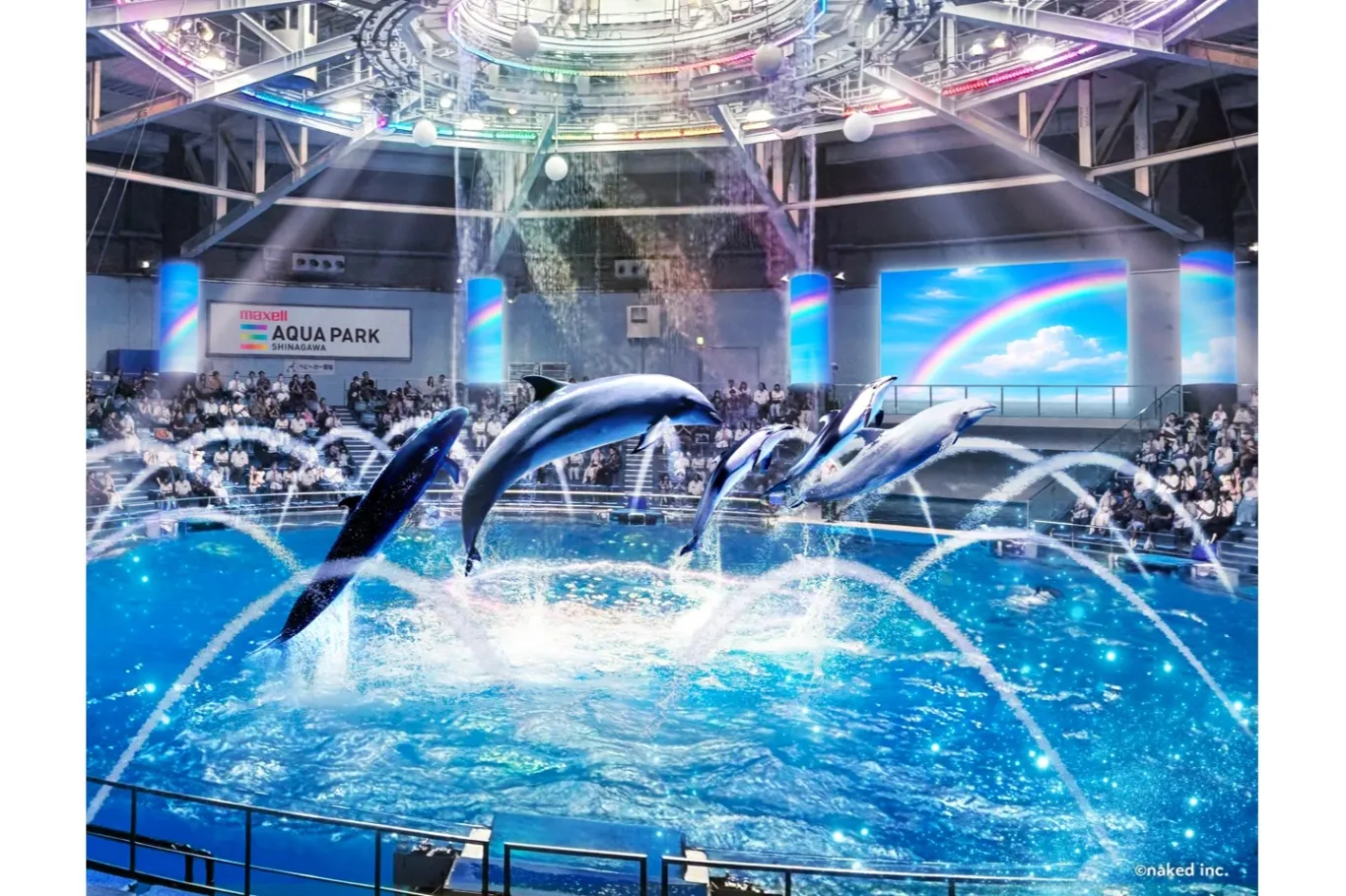 FLOWER AQUARIUM by NAKED_12