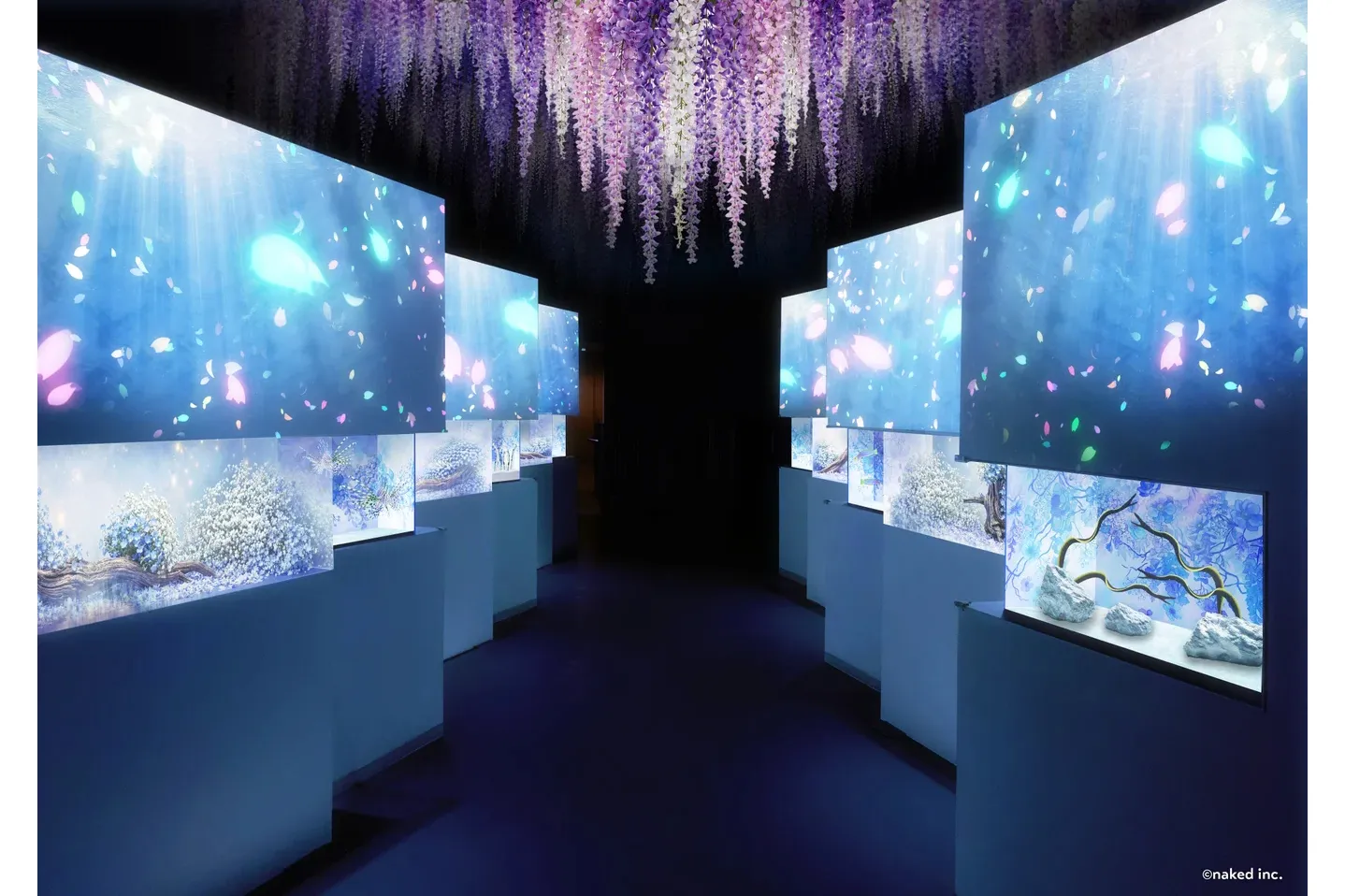 FLOWER AQUARIUM by NAKED_5