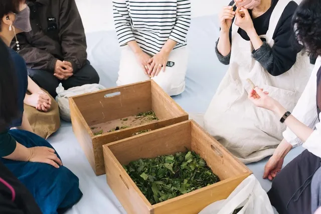山本愛子「NATURE COLOR PICNIC in 妻有／植物採集の会・草木染の会」