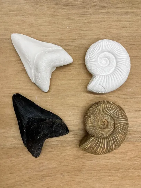 岐阜県博物館 わくわく体験（1月）