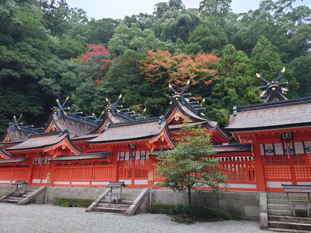 【紅葉・見ごろ】熊野那智大社