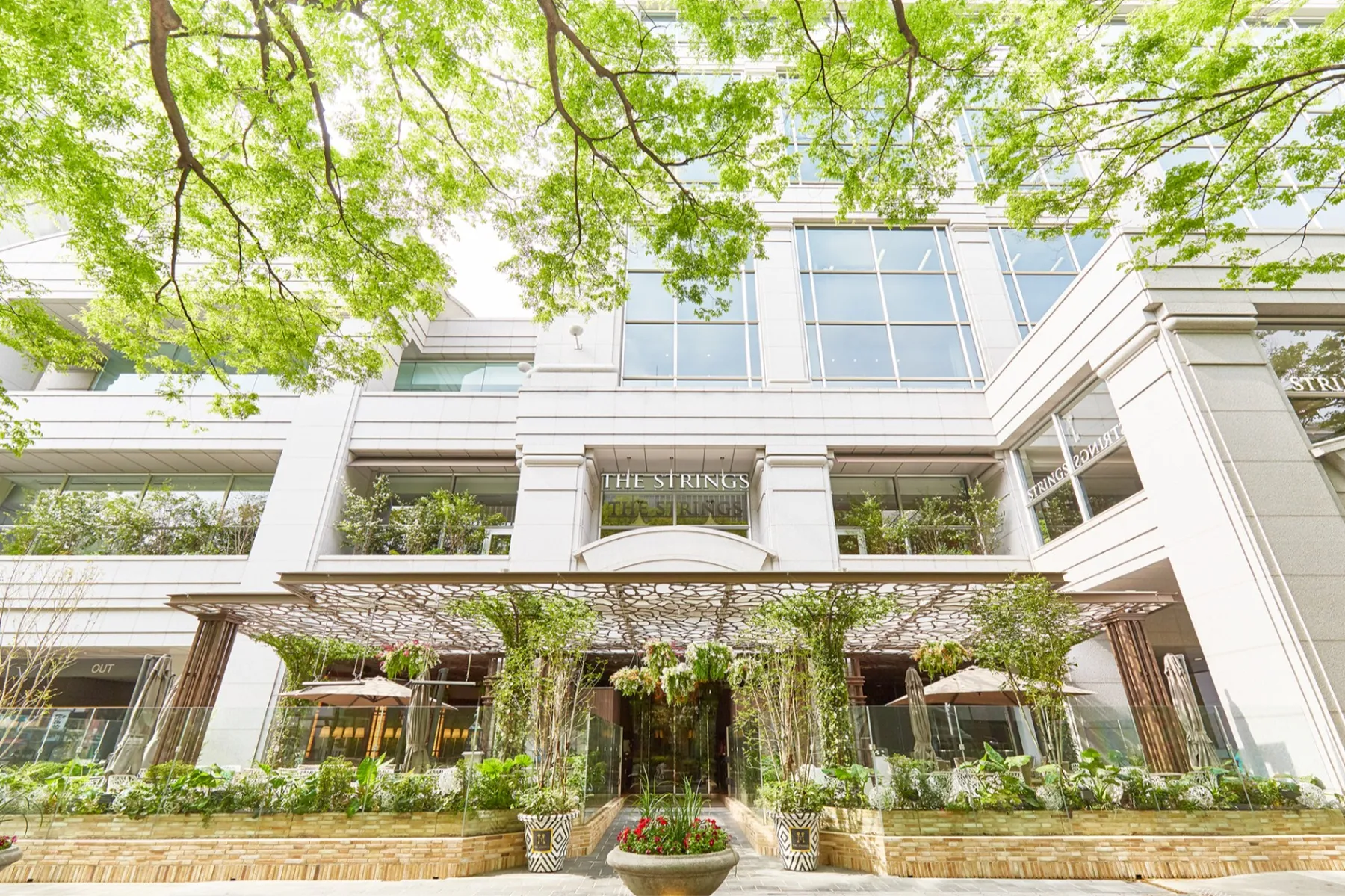 ストロベリーブルーム アフタヌーンティー【ザ ストリングス 表参道】_12