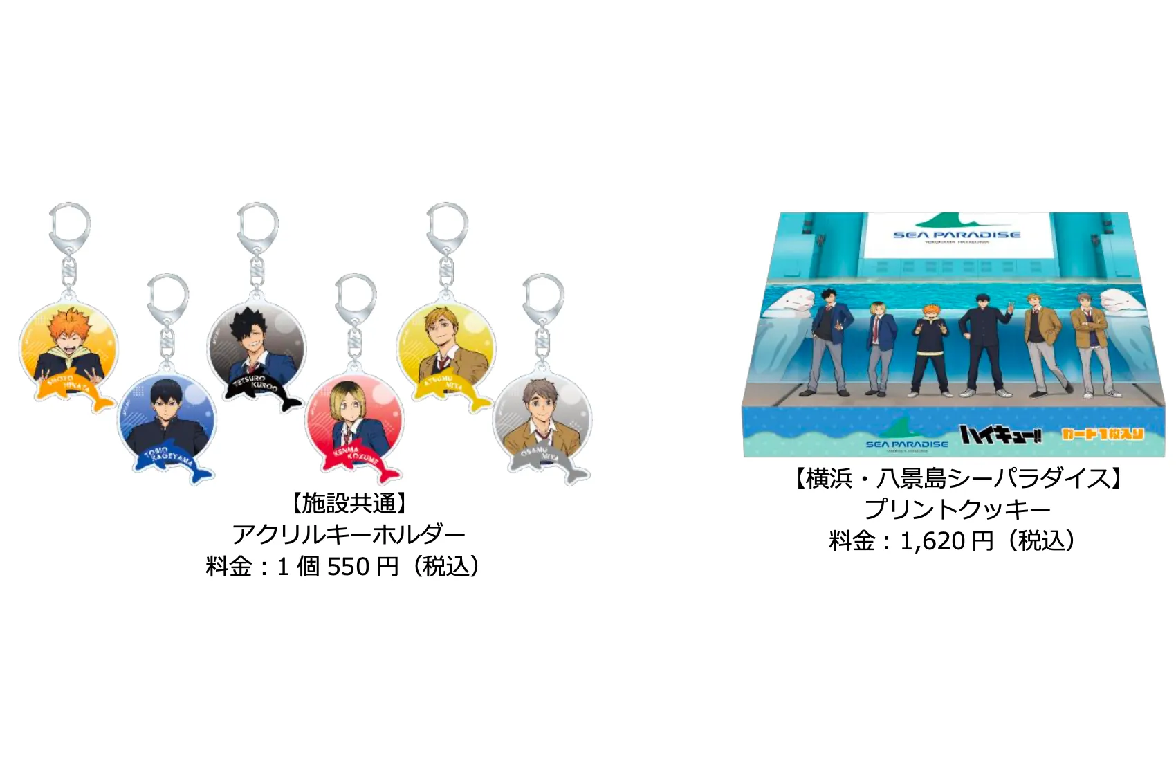 ハイキュー 横浜八景島シーパラダイス 横浜・八景島シーパラダイス】3つの水族館で”繋ぐ