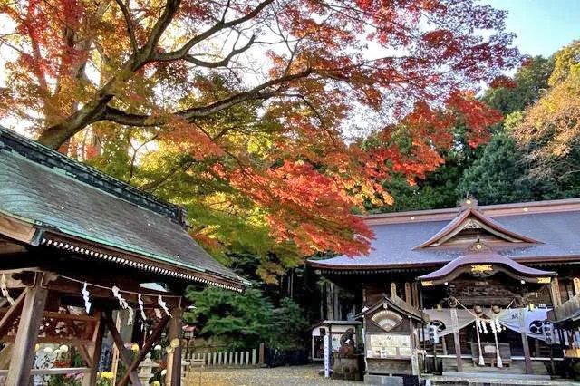 【紅葉・見ごろ】温泉神社
