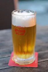 Beer Terrace 1949 HIBIYASAROH(日比谷サロー) ビアガーデン_5