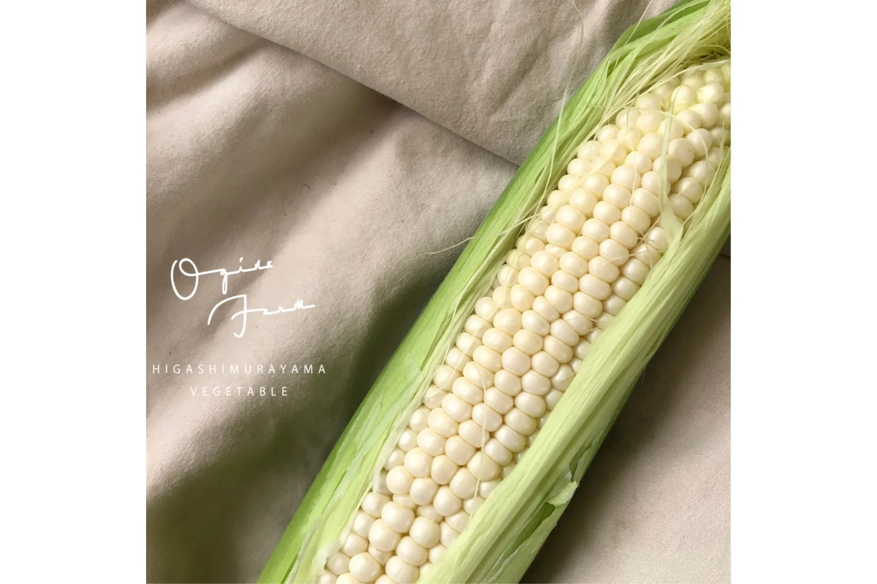トウモロコシ＆枝豆フェスティバル_4