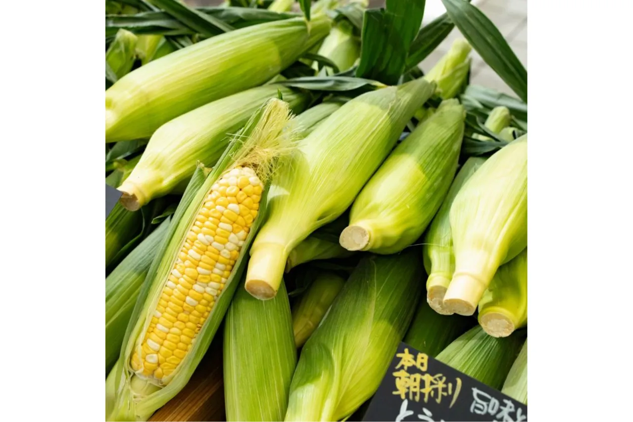 トウモロコシ＆枝豆フェスティバル_6