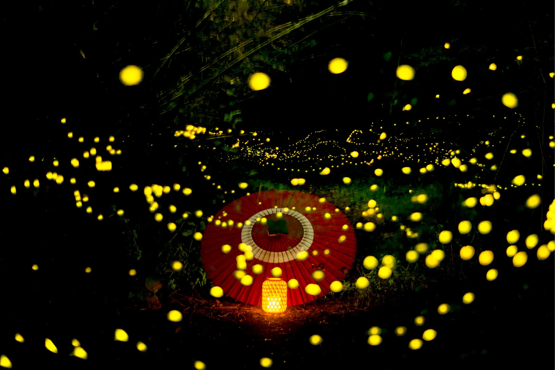 写真展「だれかのふるさとと出会う旅 03京都府写真展｜京都西山はいいぞ！フォトコンテスト2025」_3