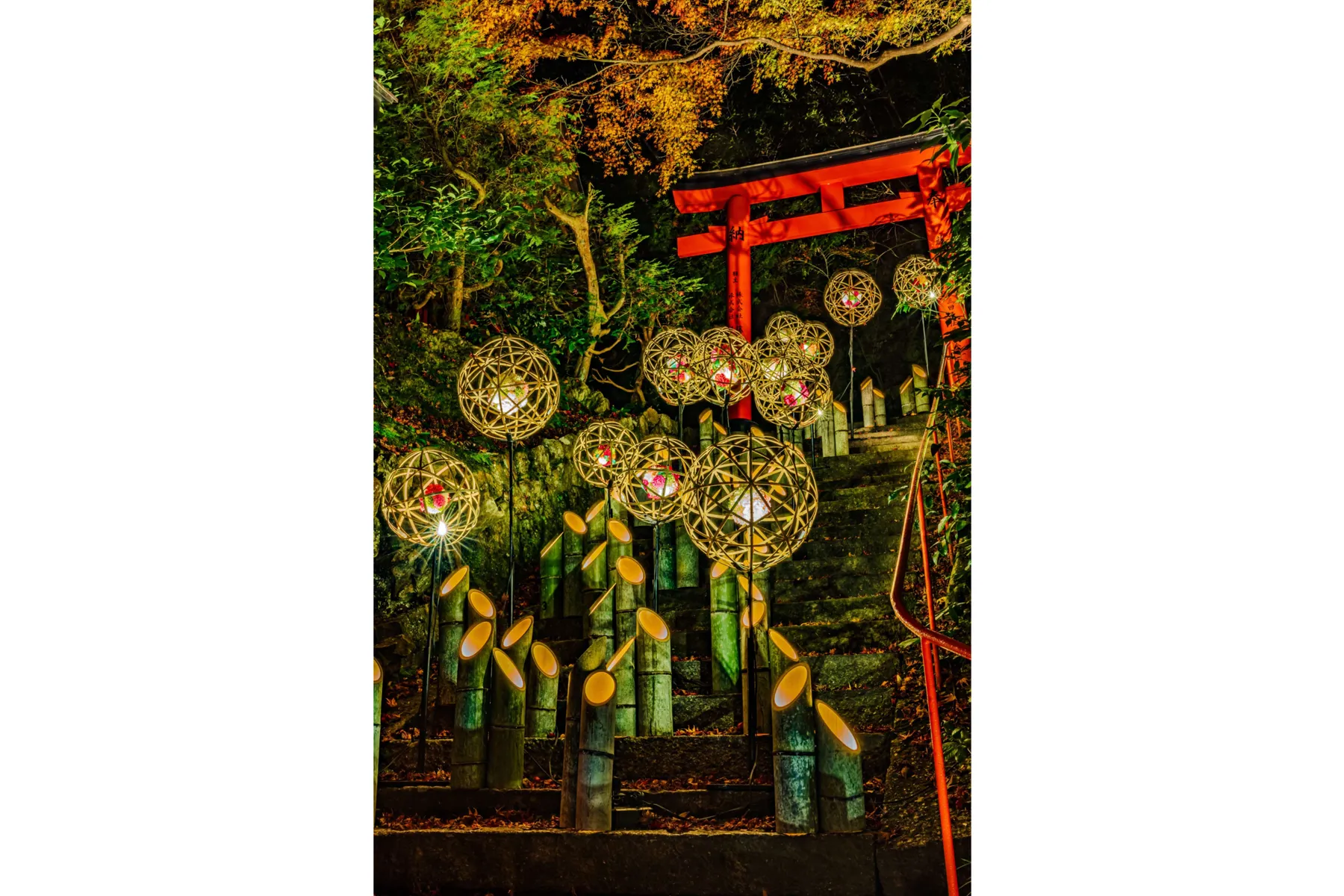 写真展「だれかのふるさとと出会う旅 03京都府写真展｜京都西山はいいぞ！フォトコンテスト2025」_4