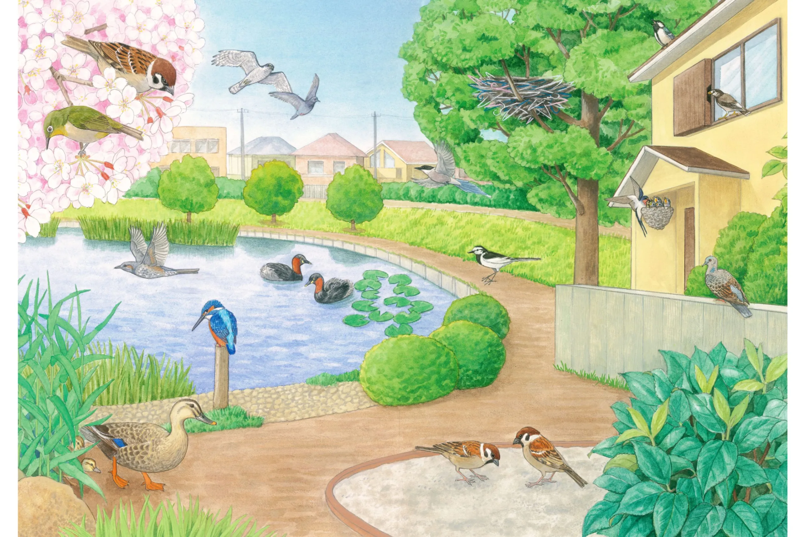 【原画】『冒険の旅へ』（鳥の絵　ガラクタ　アンティーク　森林　パステル画） 絵本図鑑『はっけんずかんプラス 鳥』おおたぐろまり原画展