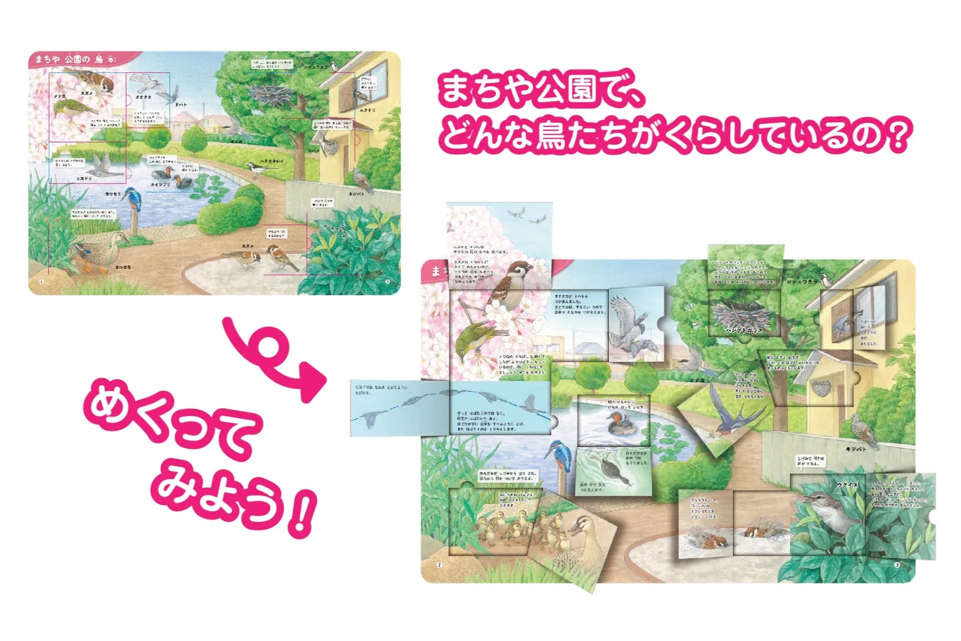 絵本図鑑『はっけんずかんプラス 鳥』おおたぐろまり原画展